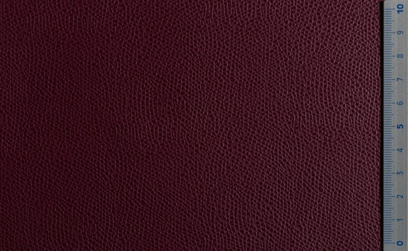 IMG_9538_PANTELLERIA_bordeaux