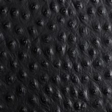 IMG_9549_Vivara_stampaStruzzo_WEB