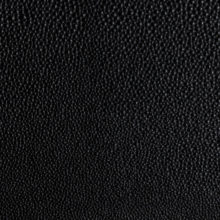 IMG_1701_Ponza_Stampa Razza