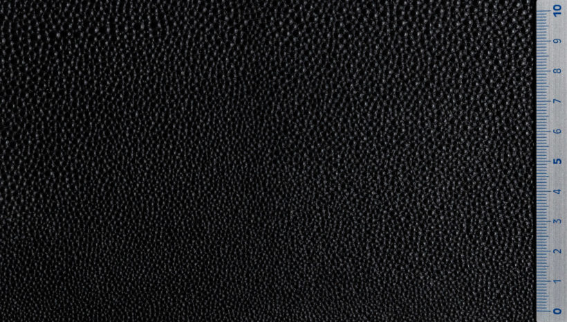 IMG_1701_Ponza_Stampa Razza